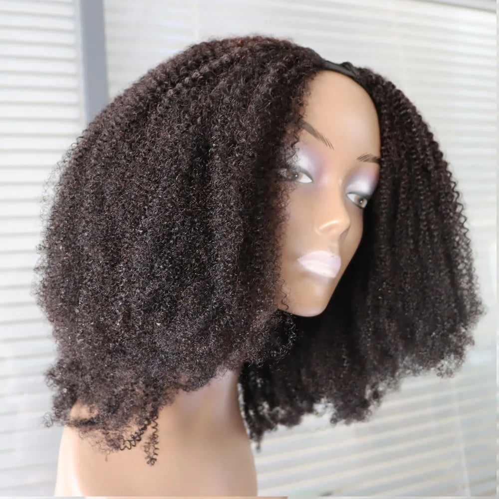 4C Afro Kinky Curly Virgin Human Hair Wig