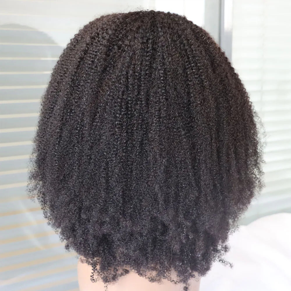 4C Afro Kinky Curly Virgin Human Hair Wig