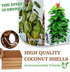 Organic Coconut Coir for Plants