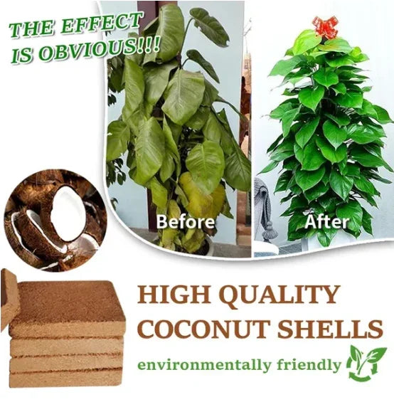 Organic Coconut Coir for Plants