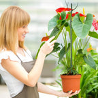 5 pack Stackable, Rot-Proof Plant Support