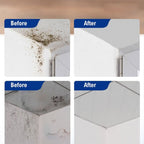Mould & Mildew Removing Foam Spray