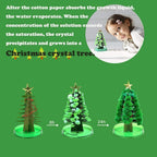 S - Magic DIY Christmas Tree