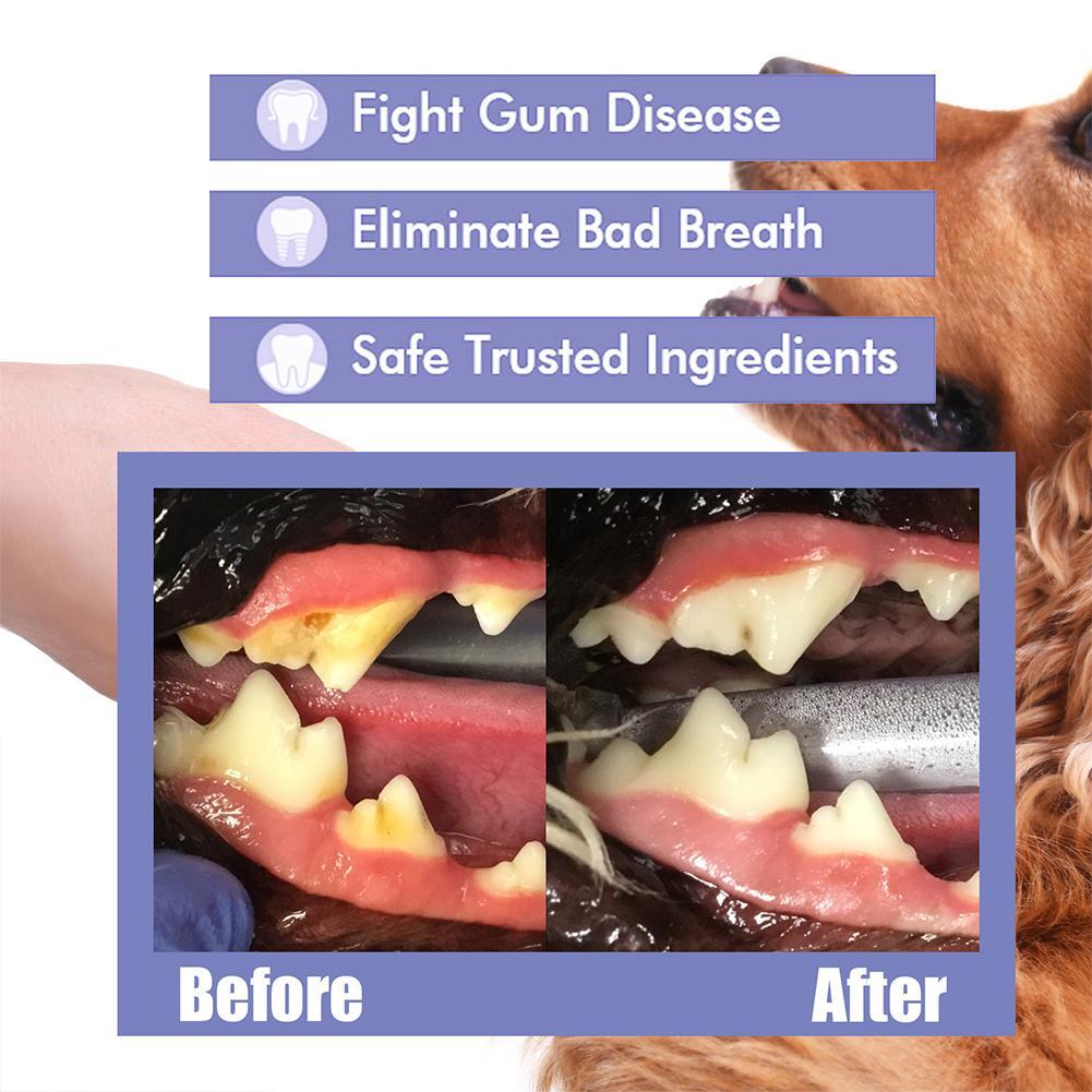 [ ]Pet Tooth Cleaning Spray