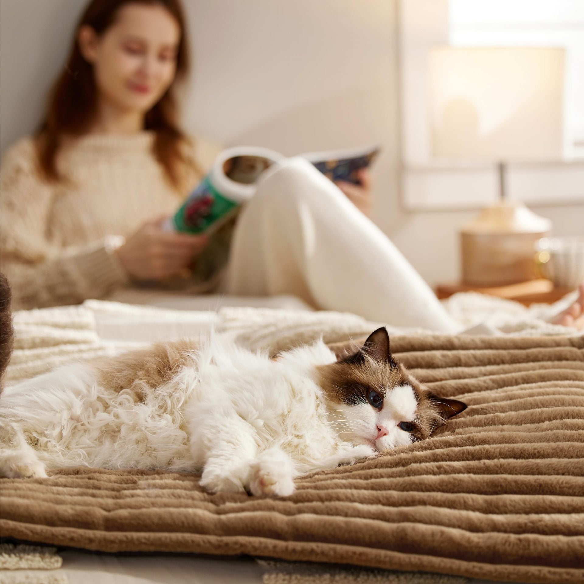 Winter essentials for your pet Self Warming pet insulation pad