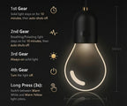 Luminous Car Interior Pendant Light