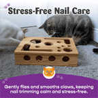 Cat Scratch Puzzle Enrichment Box: Nail File Stress Free Alternative to Clippers and Grinders
