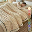 [Warm Gift] Warm Thick Flannel Blanket