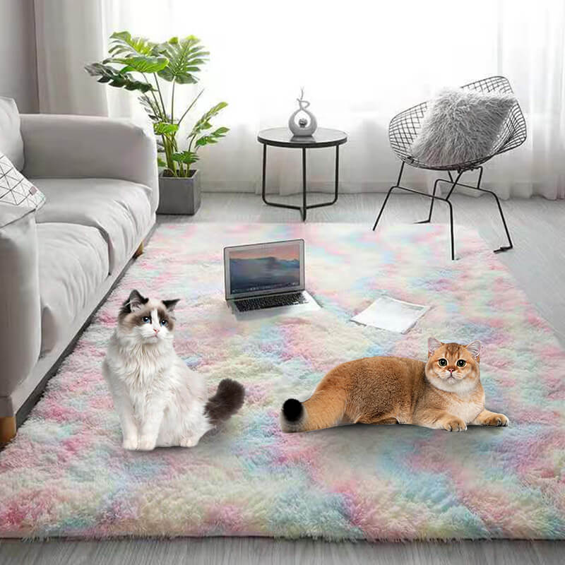 NOW! Gradient Color Plush Floor Mat