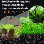 Christmas Special Wash-free Aquatic Plants Soil