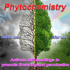 [Recommended by plant experts] Plant and Flower Activation Liquid Solution-（Great Sale BUY 3 Get ）
