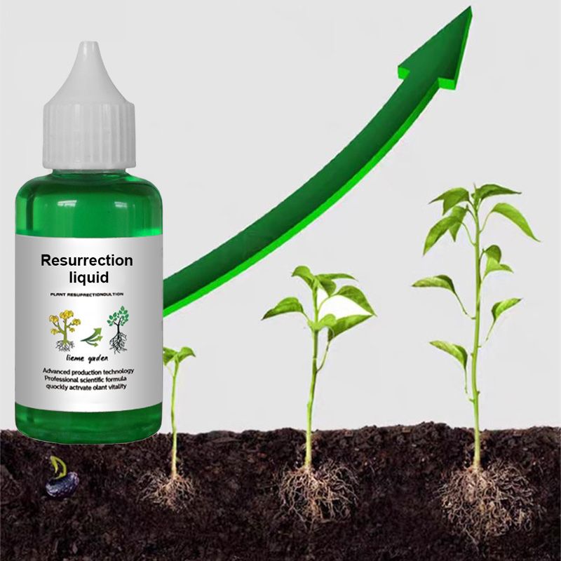 [Recommended by plant experts] Plant and Flower Activation Liquid Solution
