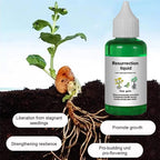 [Recommended by plant experts] Plant and Flower Activation Liquid Solution-（Great Sale BUY 3 Get ）