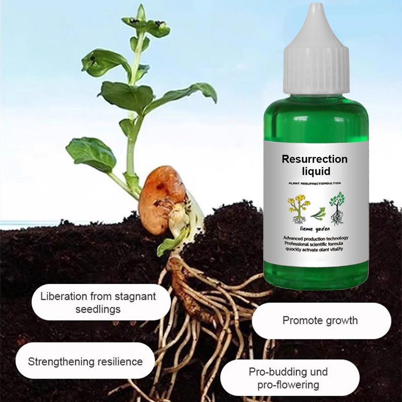 [Recommended by plant experts] Plant and Flower Activation Liquid Solution