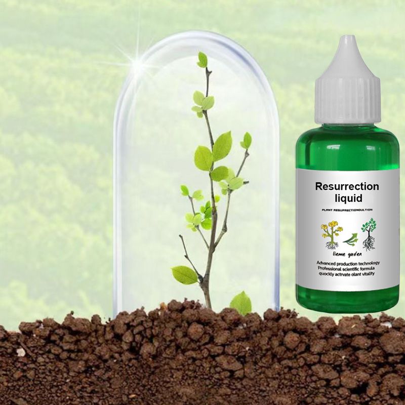 [Recommended by plant experts] Plant and Flower Activation Liquid Solution-（Great Sale BUY 3 Get ）