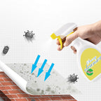 Housework First Choice Bright As New Wall Mold Removal Spray