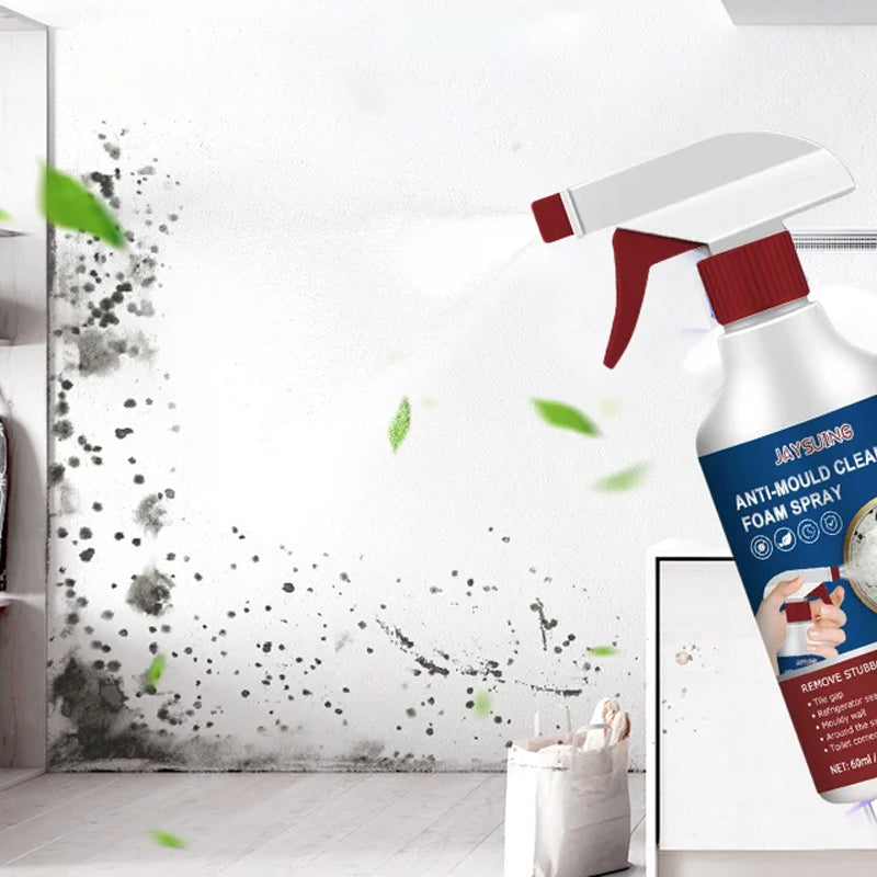 Mildew Cleaner Foam Spray