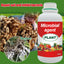 Plant, Melon And Fruit Microbial Bacterial Agent（ ）
