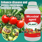 Plant, Melon And Fruit Microbial Bacterial Agent（ ）