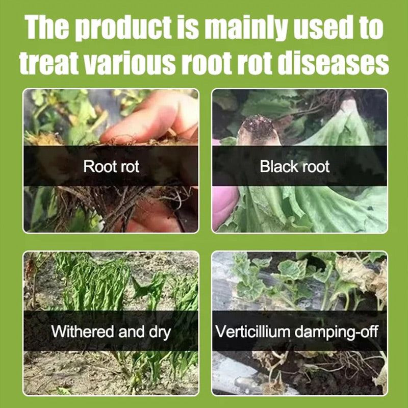 Plant, Melon And Fruit Microbial Bacterial Agent（ ）