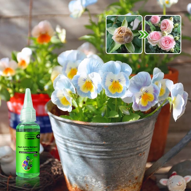 Plant rapid-effect nutrient solution: Quickly replenishes, grows strong, lush and green