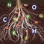 Plant rapid-effect nutrient solution: Quickly replenishes, grows strong, lush and green