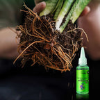 Plant rapid-effect nutrient solution: Quickly replenishes, grows strong, lush and green