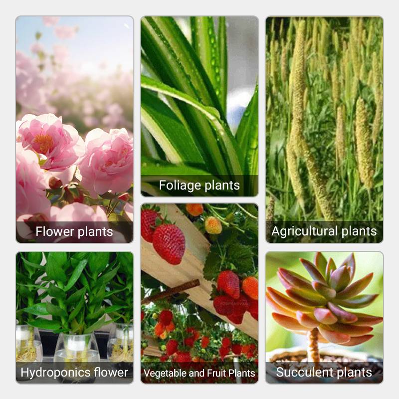 Plant rapid-effect nutrient solution: Quickly replenishes, grows strong, lush and green