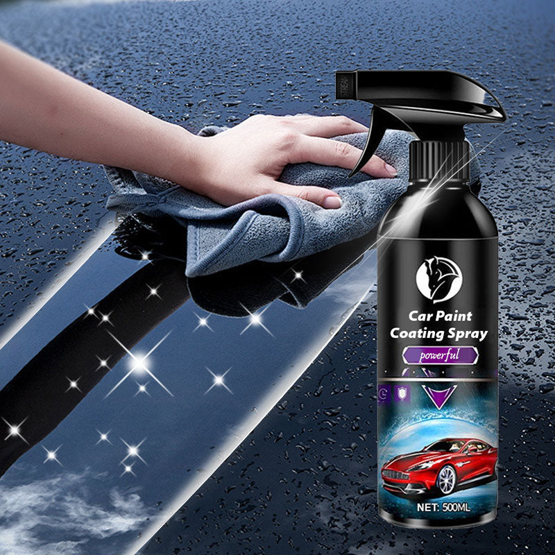 Hot New Products Multi-Purpose Car Paint Coating Spray with Towel
