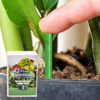 Slow-Release Plant Fertilizer Sticks