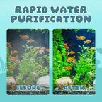 Half Price-Aquarium Silent Motorized Filter