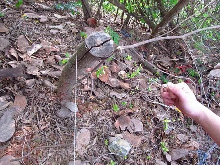 Survival Gear Stainless Steel Wire Saw – Durable & Portable