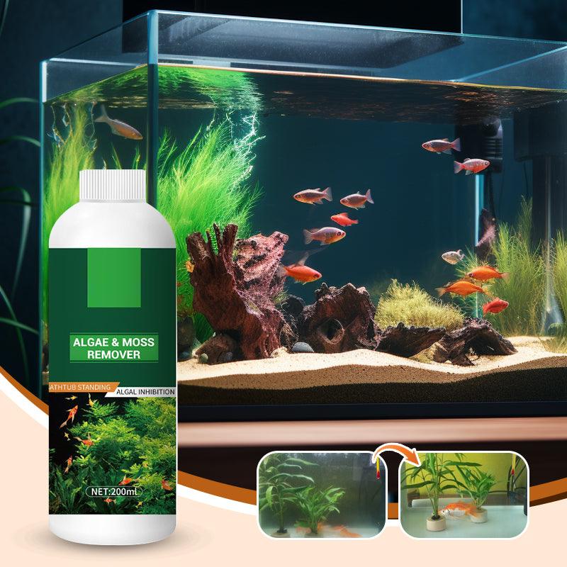 Buy More Save More Algae & Moss Remover for Fish Tank and Fish Pond - Safe Water Purification