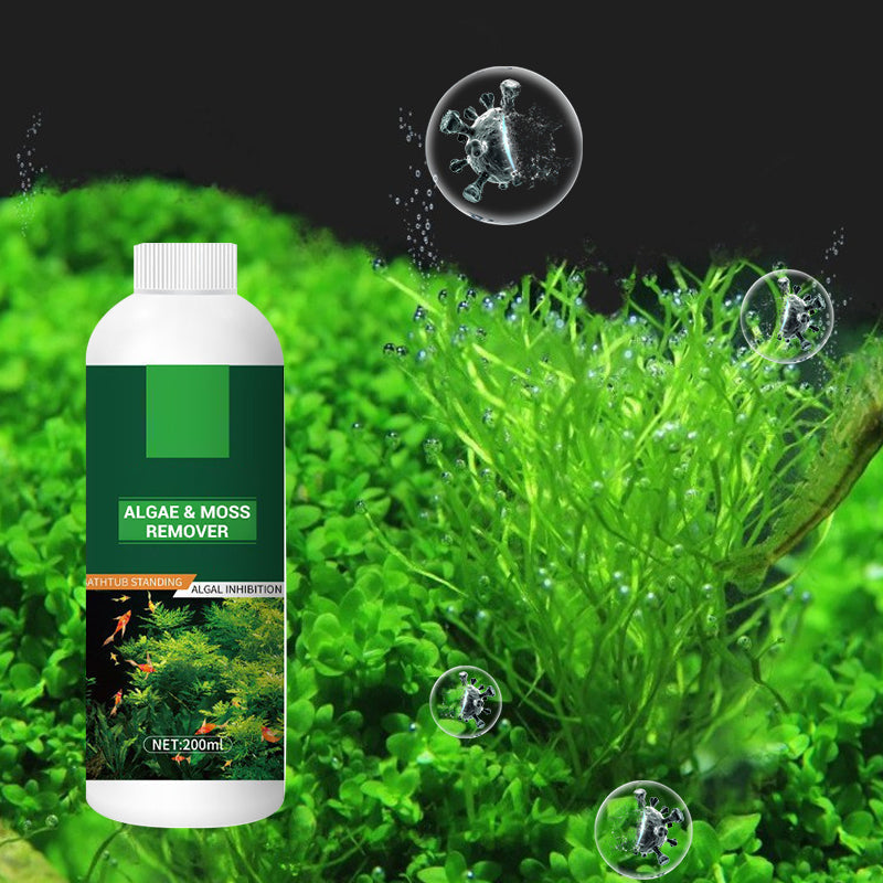 Half price for a Algae & Moss Remover for Fish Tanks & Ponds - Safe Water Purification