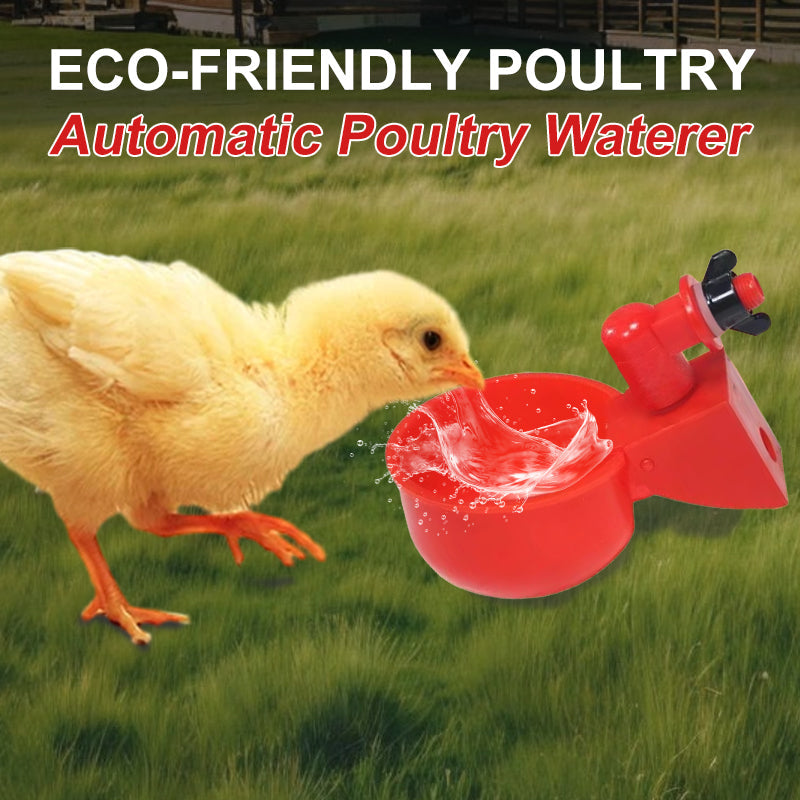New Hot Selling Eco-Friendly Poultry Automatic Poultry Waterer