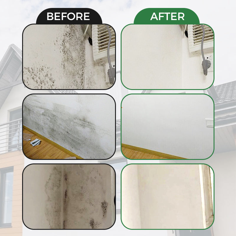 Quick-Dry Wall Repair Paste