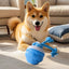 Meet Christmas Interactive Electronic Pet Soothing Toy Ball