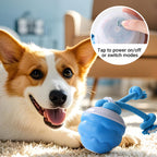 Meet Christmas Interactive Electronic Pet Soothing Toy Ball