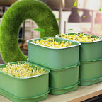 Limited stock available Stackable Bean Sprout Growing Box - Multi-layer Design, Perfect for Home Cultivation, Healthy Green Living