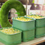 Limited stock available Stackable Bean Sprout Growing Box - Multi-layer Design, Perfect for Home Cultivation, Healthy Green Living