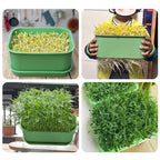 Limited stock available Stackable Bean Sprout Growing Box - Multi-layer Design, Perfect for Home Cultivation, Healthy Green Living