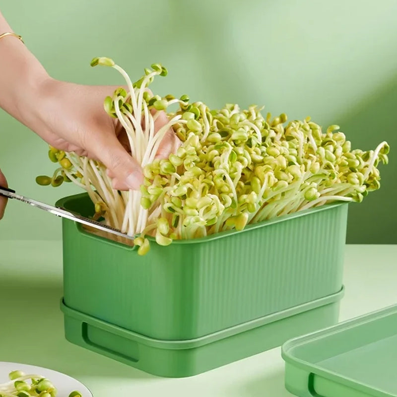 Limited stock available Stackable Bean Sprout Growing Box - Multi-layer Design, Perfect for Home Cultivation, Healthy Green Living