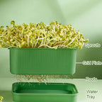 Limited stock available Stackable Bean Sprout Growing Box - Multi-layer Design, Perfect for Home Cultivation, Healthy Green Living