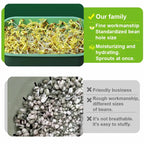 Limited stock available Stackable Bean Sprout Growing Box - Multi-layer Design, Perfect for Home Cultivation, Healthy Green Living