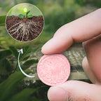 Slow Release Tablet Fertilizer! 6 months of long-lasting nutrients, 0 mistakes for lazy people to raise flowers