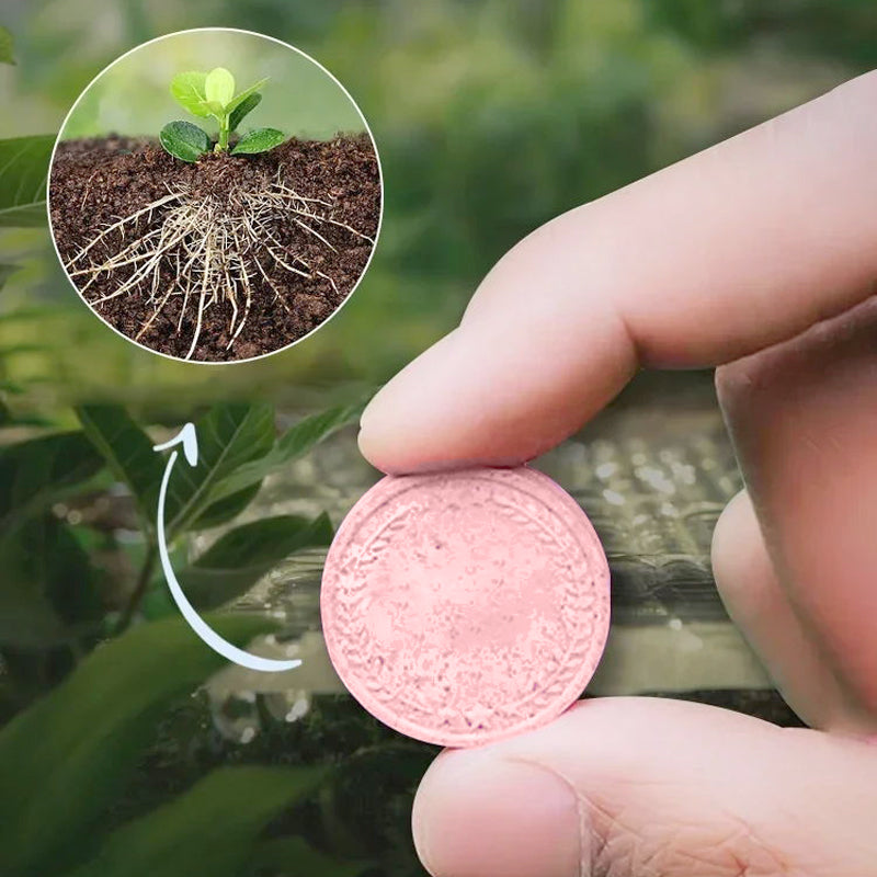 Slow Release Tablet Fertilizer! 6 months of long-lasting nutrients, 0 mistakes for lazy people to raise flowers