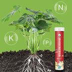 Slow Release Tablet Fertilizer! 6 months of long-lasting nutrients, 0 mistakes for lazy people to raise flowers