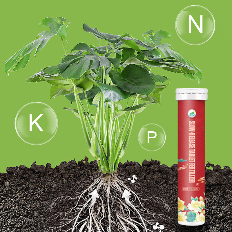 Slow Release Tablet Fertilizer! 6 months of long-lasting nutrients, 0 mistakes for lazy people to raise flowers