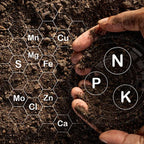 Nutrient Fluid for Flowering & Yield Boost