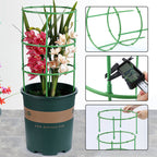 Detachable Plant Frame Support Stakes for Flowers and Fruits